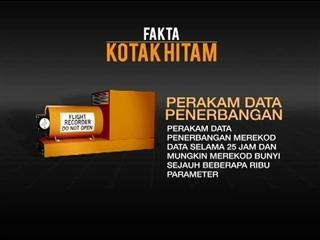 Fakta kotak hitam