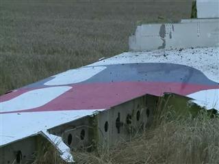 Ukraine leader says Malaysia Airlines crash 'terrorist act'
