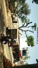 video : बजरी माफिया का सरेराह हमला, वाहनों में तोड़फोड़ कर तो सड़क पर सहम गए लोग
