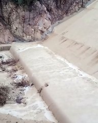 متداول.. السيول في وادي عربة السبت