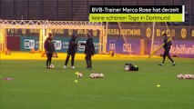 Rose gegen die alte Borussia