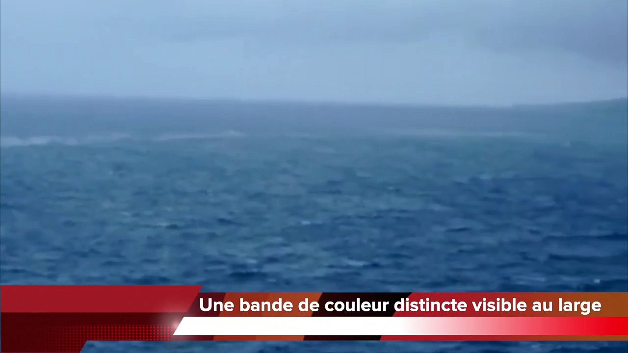 Le mazout du Tresta Star visible au large de Bois Blanc
