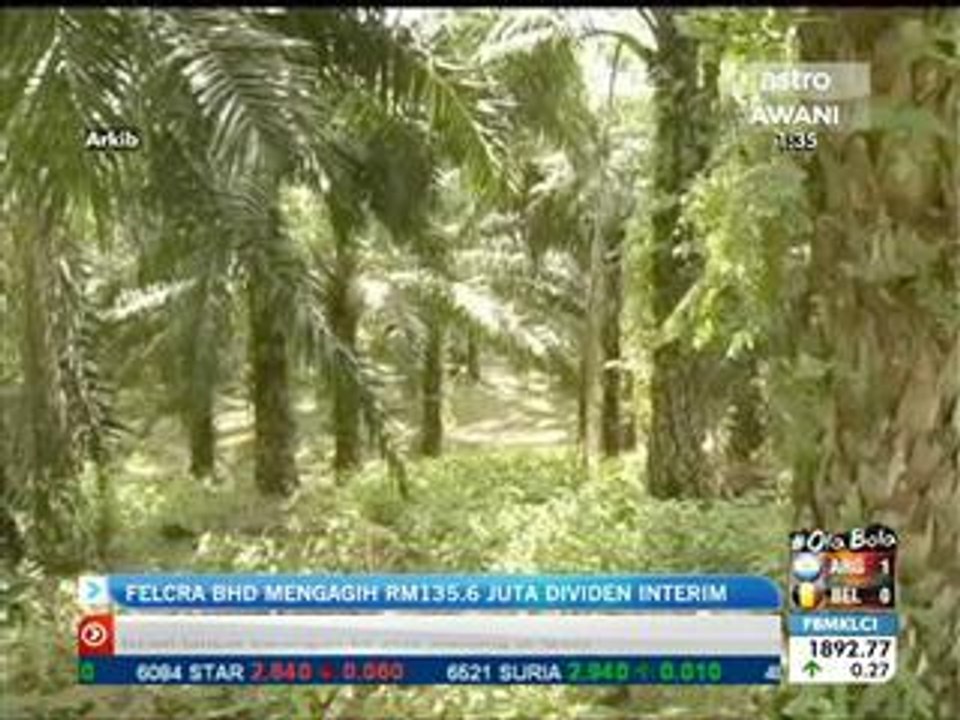 Felcra Bhd mengagih RM135.6 juta dividen interim