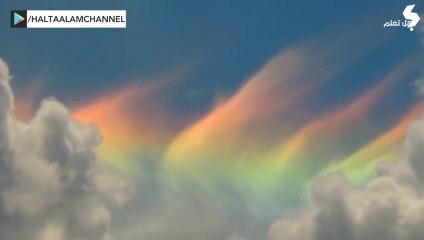 هل تعلم......معلومات فريدة ربما تسمعها لأول مرة.. لن تنساها بعدالان