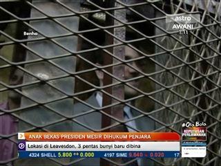 Anak bekas Presiden Mesir dihukum penjara