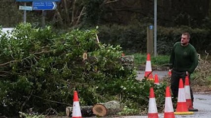 More than 200,000 British homes still without power after Storm Eunice