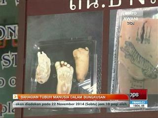 Bahagian tubuh manusia dalam bungkusan