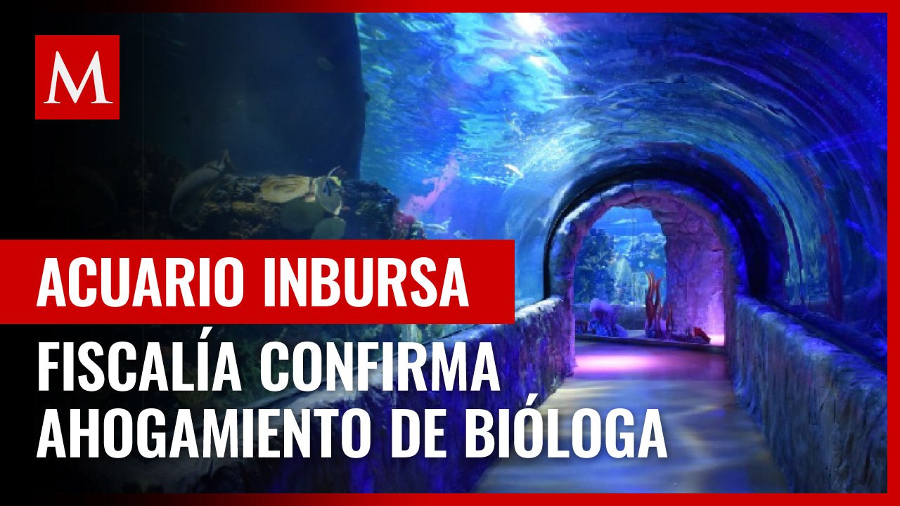 Bióloga marina de acuario Inbursa murió de asfixia por sumersión, informa FGJ CdMx
