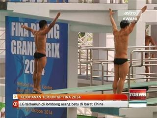 Kejohanan terjun GP Fina 2014