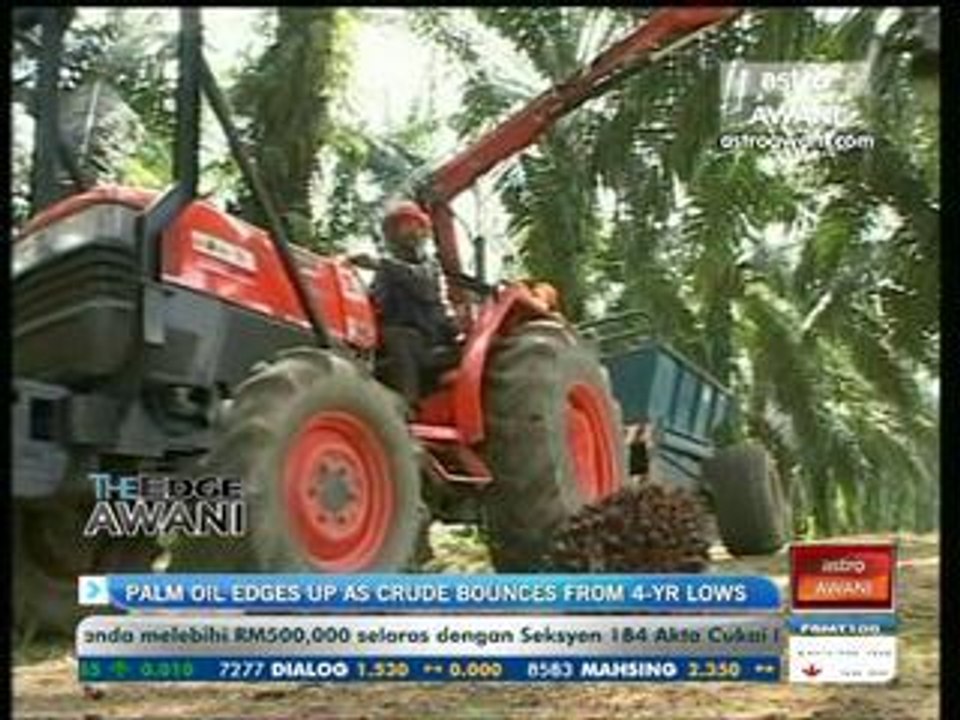 Palm oil edges up as crude bounces from 4-yr lows