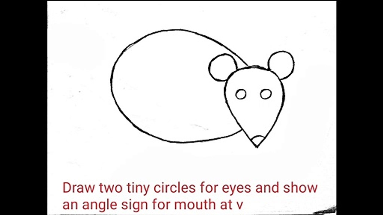 10 steps to draw a rat