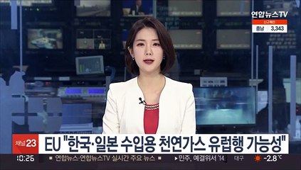 EU 수장 "한국·일본 수입할 천연가스 유럽행 가능성"