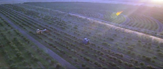 Nutrilite Acerola Cherry Farms