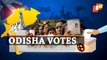 Panchayat Elections: Odisha Votes For 3rd Phase Rural Polls, Low Turnout Recorded
