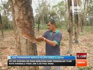 R&D penanaman semula kelapa sawit & getah