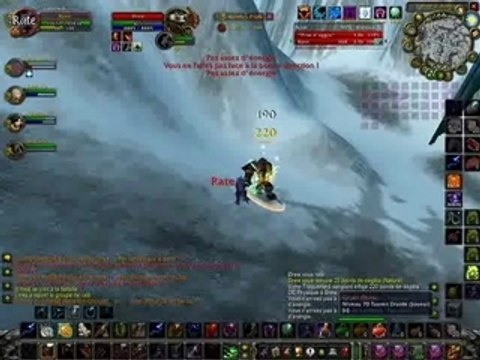 Druide féral en pvp.