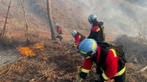 충북 괴산군에서 산불...1시간 반 만에 진화 / YTN