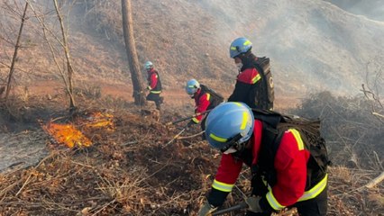 충북 괴산군에서 산불...1시간 반 만에 진화 / YTN
