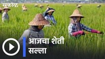 Farming Advice | काय आहे आजचा शेती सल्ला | Sakal |