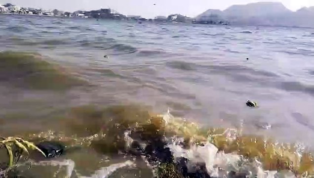 Weather Report : आनासागर मैं तेज हवाओं के साथ उठी लहरें ... देखें वीडियो