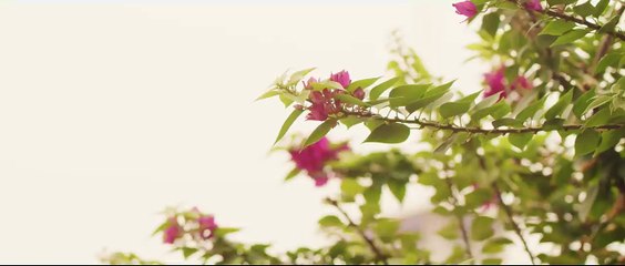 [Official Teaser] My only 12% | ลุ้นรัก12% | Studio Wabi Sabi