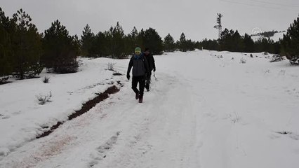 Dağcılar buz tutan şelaleye tırmandı