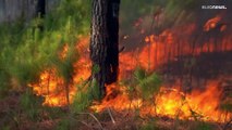 Impotencia en Argentina ante el avance de los incendios en Corrientes