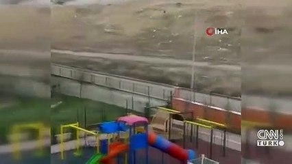 Başıboş köpekler geçit vermiyor