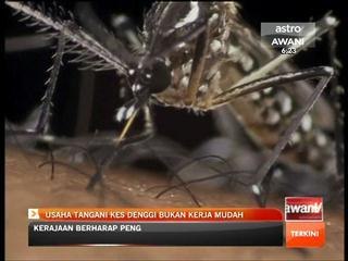 Usaha tangani kes denggi bukan kerja mudah