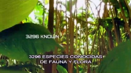 Thunderbirds Tráiler VO