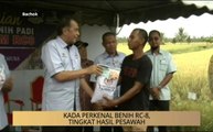 Khabar Dari Kelantan: KADA perkenal benih RC-8, tingkat hasil pesawah