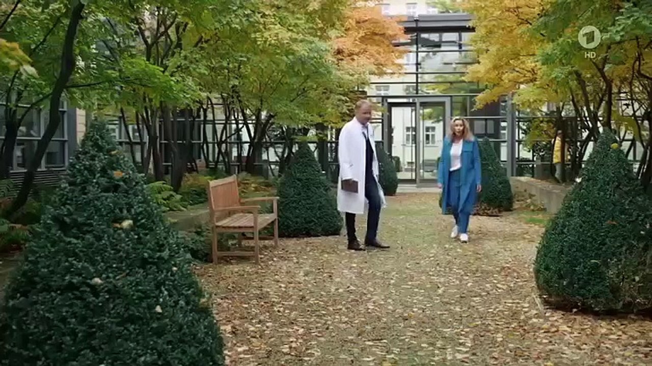 In aller Freundschaft Staffel 24 Folge 3 - Ganze 2022