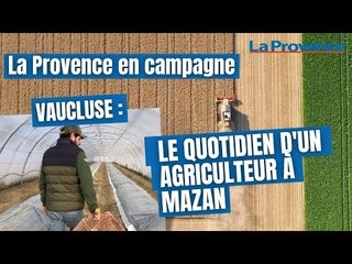La Provence en campagne : le quotidien d'un agriculteur à Mazan dans le Vaucluse