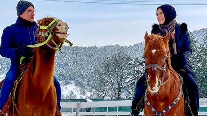 Akaryakıt fiyatlarına ata bindiği fotoğrafla tepki veren Babacan'dan bu kez atsız gönderme