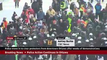 Ottawa police use chemical irritant as they confront protester