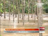 Banjir turut musnah ternakan