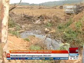 Akta perhutanan negara dikaji semula