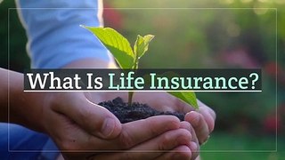 What is Life Insurance by insursol | Life Insurance in USA | LifeInsuranceUSA #lifeinsuranceguide