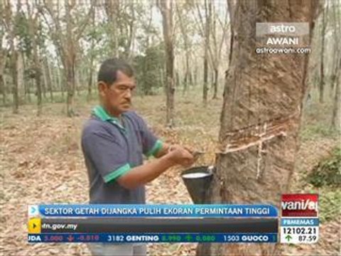 Sektor getah dijangka pulih ekoran permintaan tinggi