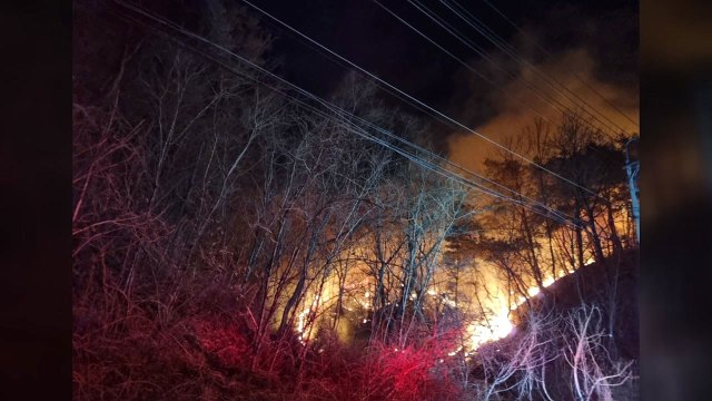 건조한 날씨에 전국 곳곳 산불 / YTN