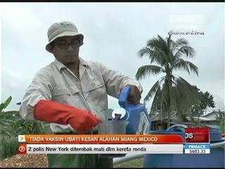 Tiada vaksin ubati kesan alahan Miang Mexico