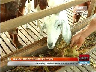 Daging kambing rendah kolesterol