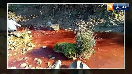 النشرة الأمازيغية لليلة الأحد 20 فيفري 2022