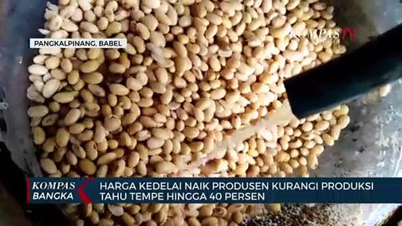 Harga kedelai naik, produsen kurangi produksi tahu tempe hingga 40 persen