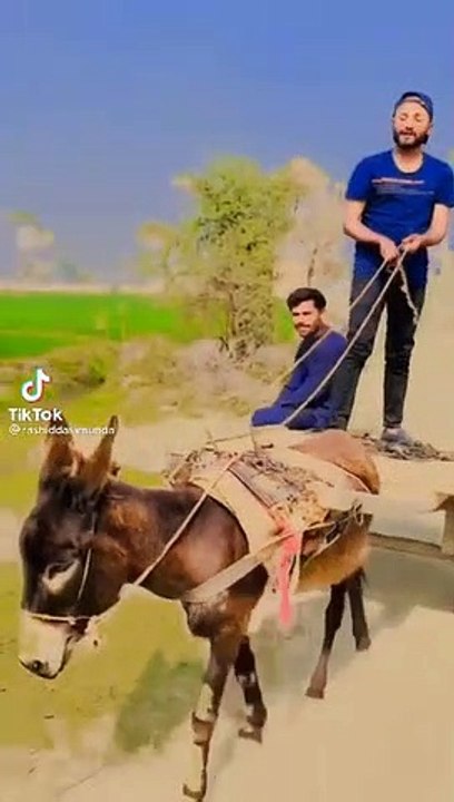 Hhhhh very funny video