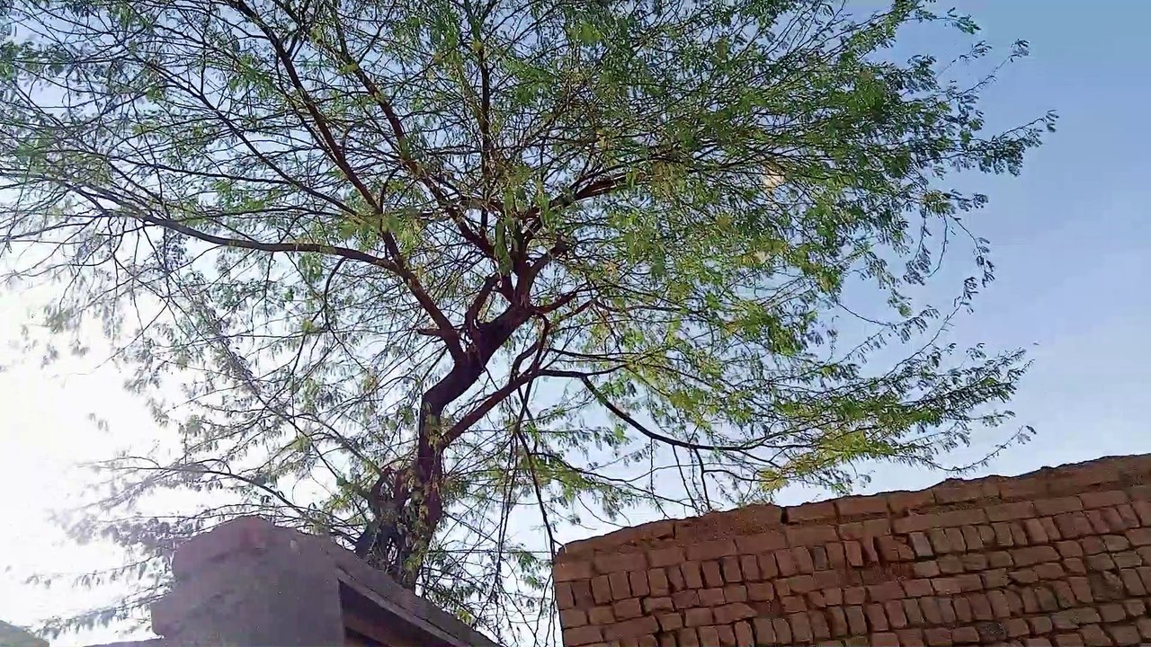 Beautiful Weather in our village