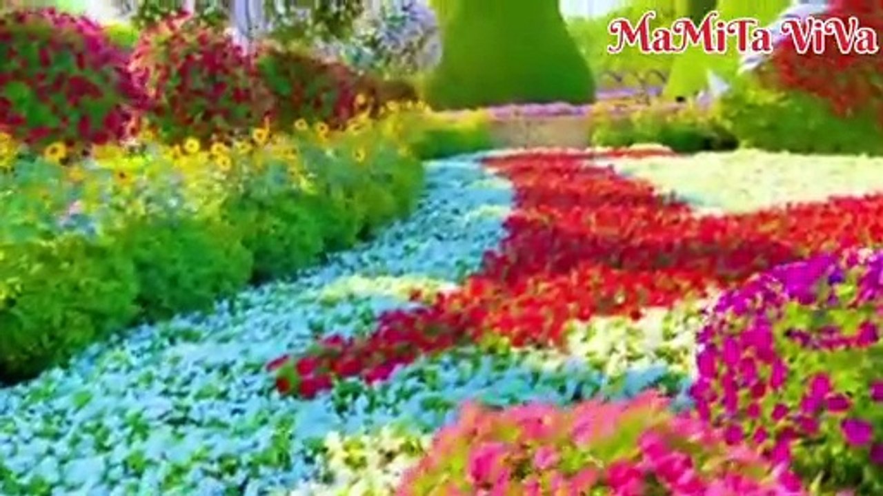 Miracles garden of Dubai