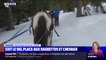 En Haute-Savoie, les stations de ski diversifient leurs offres pour attirer les vacanciers