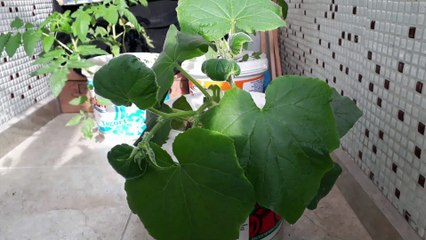 Üretim,Üretim,Üretim...