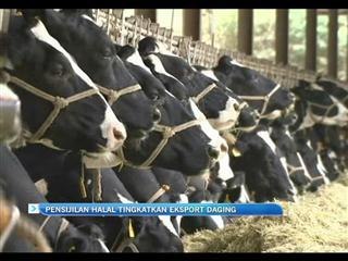 Pensijilan halal tingkatkan eksport daging